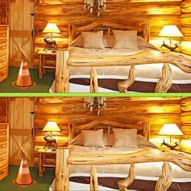 Play Butterfly Differences